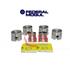 SUBCONJUNTO SENDA GOL ESCORT SAVEIRO 1.6 AUDI PERNO LARGO  010 